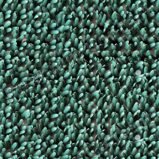 High Resolution Seamless Textures 0028